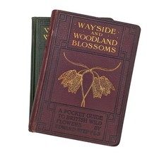 Wayside & Woodland Blossoms