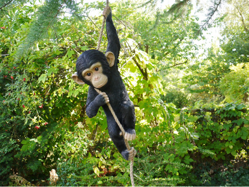 Climbing monkey tree hanging - climbing,