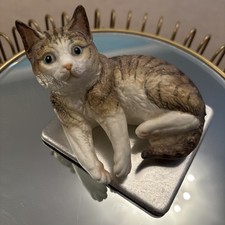 Royal Worcester Kittens tabby