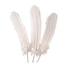 Turkey Feather 10-12 inch Pack
