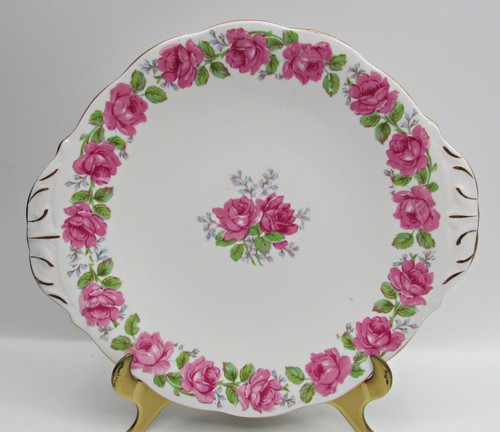 Queen ann lady alexander rose - ann,