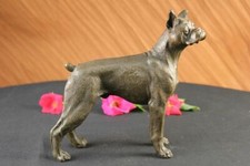 Magnificent bronze boxer dog - magnificent,