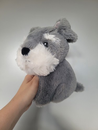 Winston grey white schnauzer - grey,
