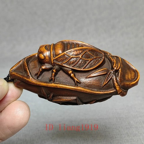 Inch old japanese boxwood - old,