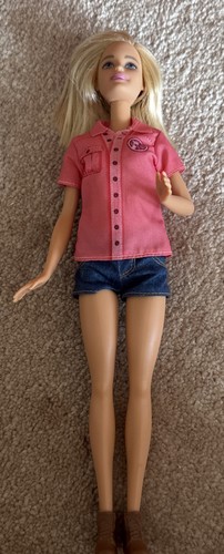 Barbie vet doll animal - animal, rescuer