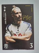 Tottenham hotspur radu