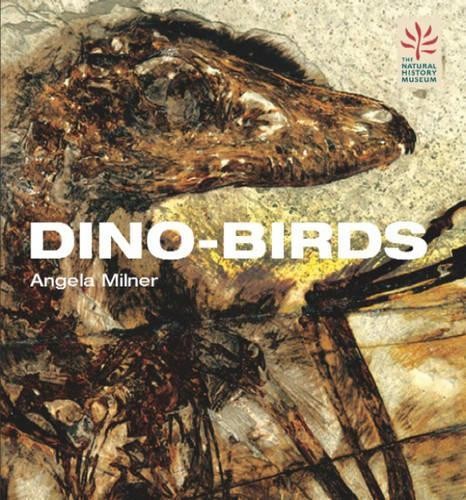 Dino birds from dinosaurs - dino-birds:,