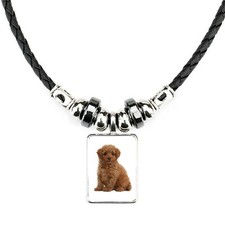 Toy Poodle Dog Pet Family Soft