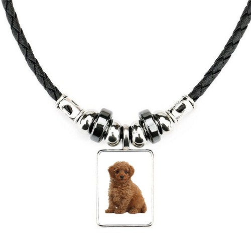 Toy poodle dog pet family - toy,
