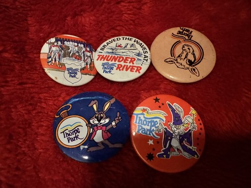 Vintage thorpe park badges lot - vintage,