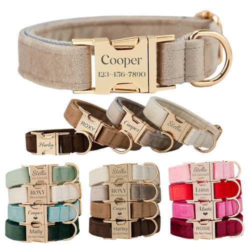 Personalised dog collar with - personalised,