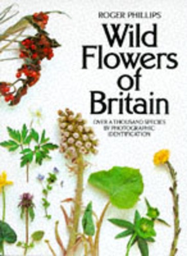 Wild flowers britain - wild,