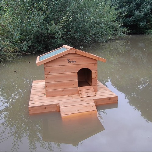 Duck house wooden floating - house,