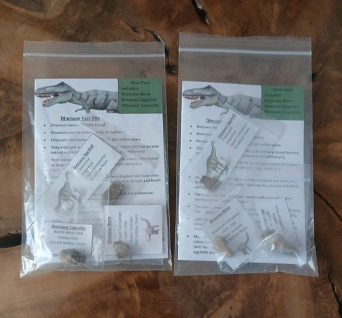 Fossil dinosaur pack real - pack,