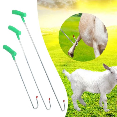 Sheep catching tool - sheep,