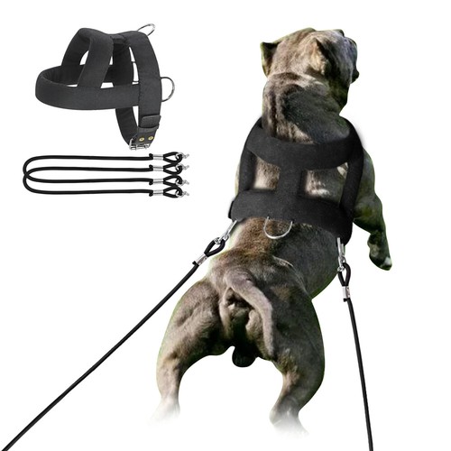 Strong big dogs weight pulling - weight,