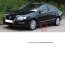 NEW FRONT DOOR CHROME MOLDING