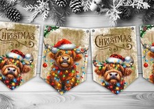 Christmas Bunting Hanging