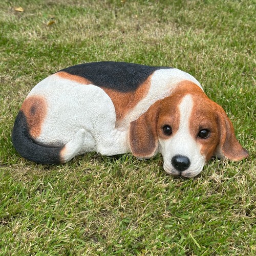 Realistic beagle dog - realistic,