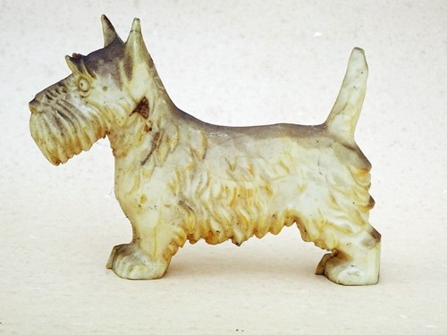Scottish terrier scottie dog - scottish,