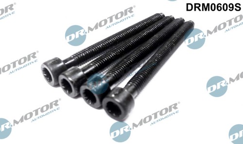 Screw injection nozzle holder - screw,,