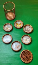Set 6 Pressed Butterfly Bamboo