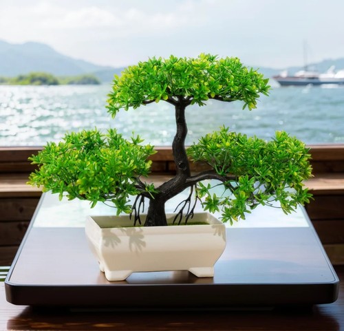 Bonsai artificial fake - bonsai,