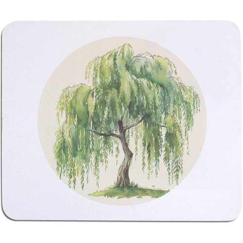 Weeping willow tree - 'weeping, tree'