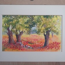 Watercolour Print Of A Poppy