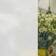 Window Privacy Film Static