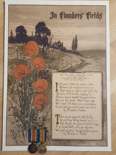 Flanders fields wwi poem - fields,