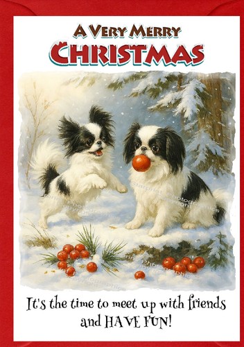 Japanese chin dog - (4", 6")