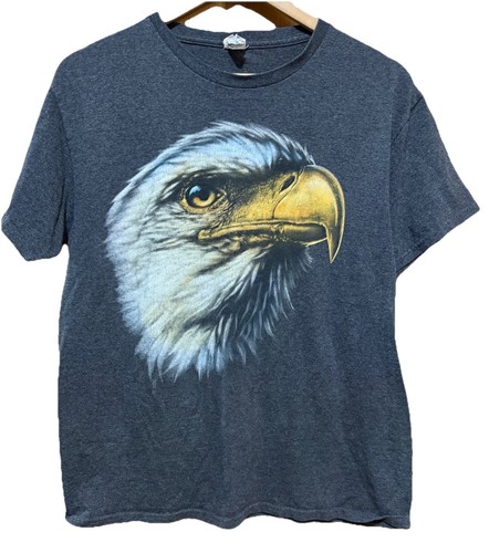 Bald eagle dark gray bird - gray, of