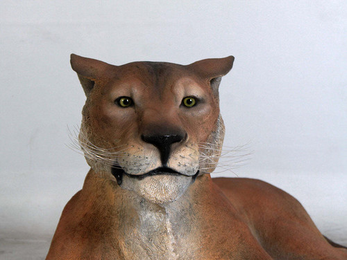 Lifesize realistic lioness - lifesize,
