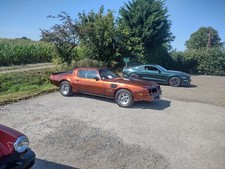 1976 Pontiac Trans Am, 6.6L V8 auto