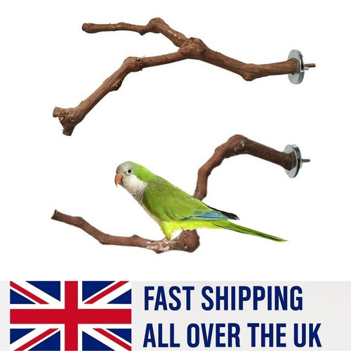 Wooden parrot bird stand tree - bird,
