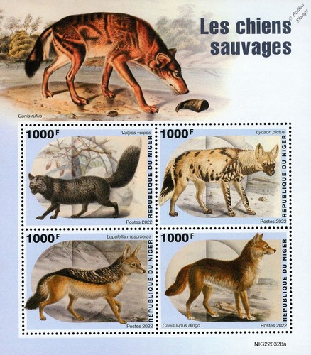 Wild dogs red fox african - dogs, (red