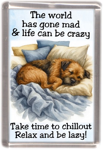 Border terrier dog - border, fridge