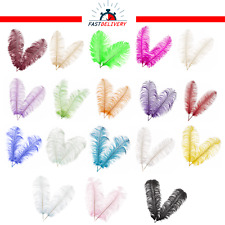 Ostrich Feathers Plume Craft