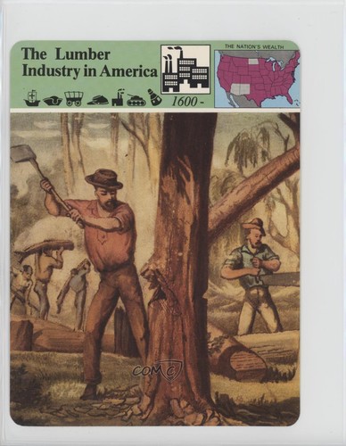 1979 panarizon story - 1979,