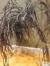 9 Stems Weeping Willow Extra