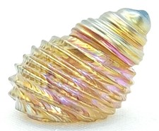 Isle of Wight Studio Glass