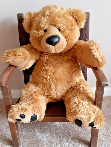 Beautiful large teddy - large,