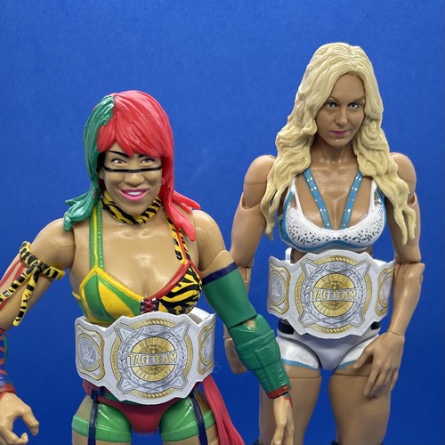 Wwe custom wrestling - custom,