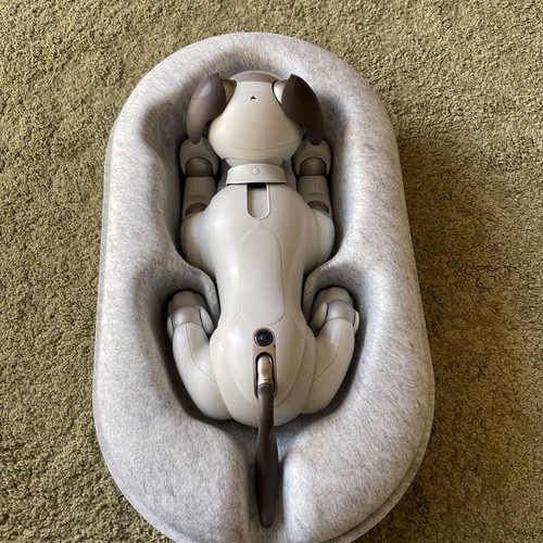 Aibo main unit - , ers1000