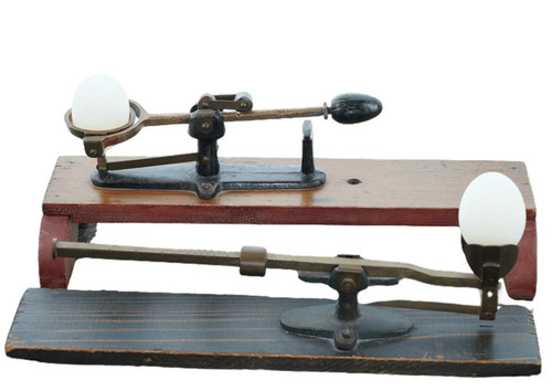 C1900 reliable egg scales - egg,