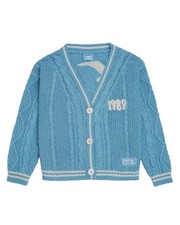  Taylor Swift Cardigan 1989