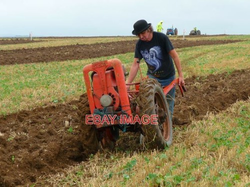 Photo longstock iron horse - photo,