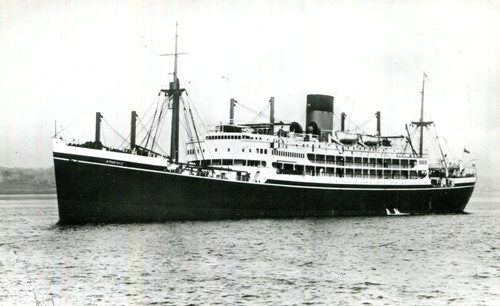 1950s postcard shaw savill - 1950s,