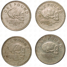 Small Collection of Gibraltar Elizabeth II 1 Pound Coins